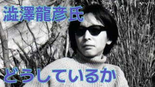 没後36年 澁澤龍彦氏 今どうしているか リエさんがチャネった！