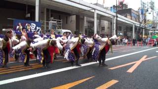 浜松よさこい祭り がんこ祭 2009　関学よさこい連 炎流　鰻々会場