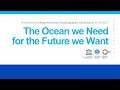 The Ocean we Need for the Future we Want