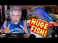 My Top 6 HUGE Fish for a Large (125gal+) Aquarium - My Favorite BIG African Cichlids!