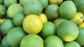 Health Benefits of Sweet Lime in Tamil | சாத்துக்குடி பழம் நன்மைகள் | Mosambi Health Tips in Tamil