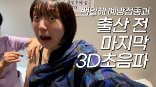 {임신로그} 29주 마지막 3D초음파