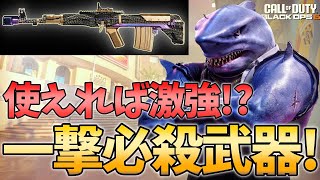 【CoD:BO6】一撃必殺武器はコレ！ヘッドショット一撃武器『Tsarkov』！もう雑魚武器とは呼ばせません【FPS】