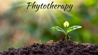 Exploring the Healing Power of Phytotherapy\