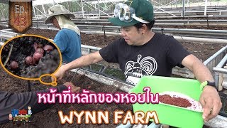 หน้าที่หลักของหอยในวินฟาร์ม(wynn farm) - สูงเตี้ยเรี่ยดิน EP.43 ( 2/2 )