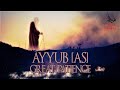 Ayyub [Job] AS - The Great Patience