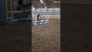 Springen❤️#song#riding#trending #equestrian#horse#tiktok#pony #subscribe#love#jumping#reiten#shorts