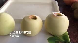 小型自動削皮機 (Small Peeling Machine)日本進口 高效率削皮機