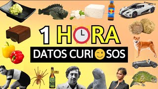 ¡1 HORA De DATOS CURIOSOS! ⏰😯| #9 | Zarpado