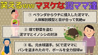 【2chおもしろスレ/泥ママ3選】① ベランダから侵入した泥ママ、人体解剖模型と目が合って気絶w　② 畑で野菜を盗む泥ママと猪の対決　③ 私元水球選手。SCで泥ママにボールを全力投球w【ゆっくり解説】