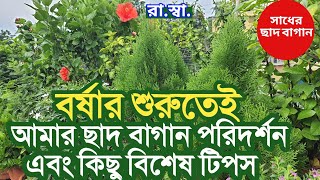 বর্ষার শুরুতেই আমার ছাদ বাগান পরিদর্শন ও কিছু প্রয়োজনীয় টিপস। Overview of my garden before moonsoon.