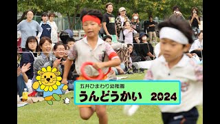 18 五井ひまわり幼稚園　運動会　2024/10