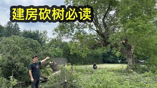 建房砍树必读 - 省钱、减少阻力、流程简单、不耽误工期