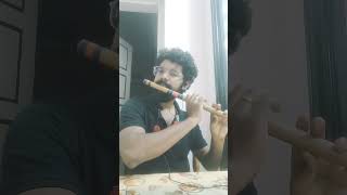 Ambadi payyukal meyyum | flute | Vidhyasagar | chandranudikkunna dhikkil | flute cover #flute #music