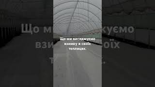 Вирощування рослин. Теплиці. Що саджати в теплицю. Теплиці взимку.Встановлення теплиць