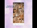 how make download wallpaper on pinterest