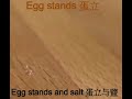 egg stands up 鸡蛋站起来