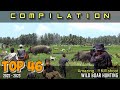 TOP 46 - VIDEO PERBURUAN BABI HUTAN MENEGANGKAN | best collection of wild boar hunting videos..