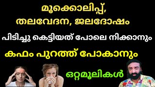 തലയിൽ വർഷങ്ങളായി കെട്ടികിടക്കുന്ന കഫം പുറത്ത് പോകാൻ ഒറ്റമൂലി