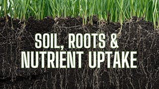 Soil, Roots & Nutrient Uptake