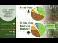 what’s carbon got to do with it a new jersey forest service pocket presentation