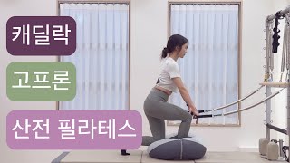 캐딜락 X 고프론 임산부 필라테스👶: 혈당조절 ,통증완화, ,스트레칭, 고관절의 대칭성 및 유연성을 위한 운동들