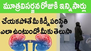 మూత్రవిసర్జన రోజుకి ఇన్ని సార్లు చేయకపోతే మీ కిడ్నీ పరిస్థితి ఏంటో మీకు తెలుసా? #9ROSES MEDIA