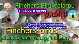 Finches Valarpu in Tamil /தமிழ்,🐦🐣🌽🥚🥕 Food- நல்ல மாத வருமானம் பெறுவதற்கு -BiRDs&tEcHNicAl