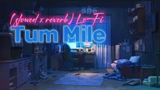 Tum Mile Lofi song (slowed x reverb)