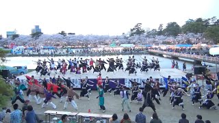 よさこい総踊り⑨ ♪ 一天濤快 @ どまつり夜桜in岡崎 (河川敷会場) 2017-04-09T17:40