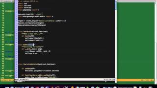 Vim Snippets