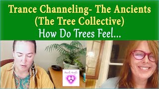 Trance Channeling- The Ancients (The Tree Collective)- How Do Trees Feel When We Cut Them Down?