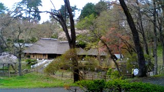 みちのく民俗村ライブ 2024.04.17 14:05