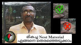 Best Nesting Material For Finches In Malayalam || Finches Breeding Tips || Finch Adviser