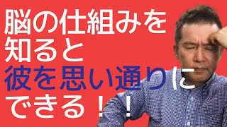 復縁に役立つ脳が信じる仕組み｜ぐっどうぃる博士の復縁理論