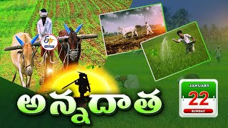 అన్నదాత | 22nd January 2025 | Annadata | Full Bulletin | ETV Andhra Pradesh