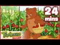 Little Bear - Little Bear Meets No Feet / The Camp Out / Emily's Balloon - Ep. 16