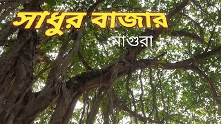 সাধুর বাজার মাগুরা/Sadhur Bazar Magura