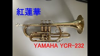 【コルネット再入門】紅蓮華（LiSA）鬼滅の刃【YAMAHA YCR-232】