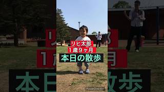 リヒ太郎（１歳９ヶ月）の本日のお散歩ではシャボン玉を追いかける！#1才 #お散歩 #しゃぼん玉 #パパ #babyboy #walking #bubbles #papa