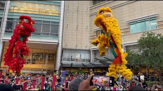 CNY2023 ~ Acrobatic Double Lion Dance (双狮高桩舞獅 Múa Lân) by Khuan Loke 群乐 @ KLCC, Kuala Lumpur (4K60p)