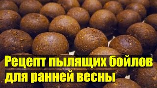 Рецепт пылящих бойлов для ранней весны. Бойлы своими руками.