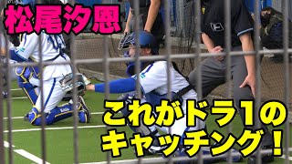 【ド迫力！！甲子園を沸かせた松尾汐恩君の神キャッチング！！】2月2日 宜野湾キャンプ