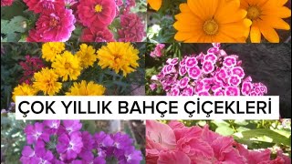 📢Bahçenize bir defa dikin YILLARCA sefasını sürün🎉ÇOK YILLIK BAHÇE ÇİÇEKLERİ ✔️#flowers#keşfet#plant