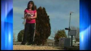 Mementos destroyed by Clovis cemetery