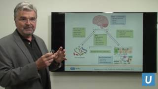 The Mind-Gut Connection: Conversation Within Our Bodies | Emeran Mayer, MD, PhD | UCLAMDChat