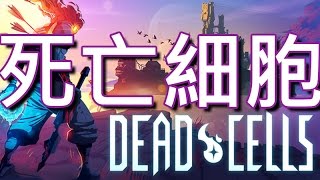 [死亡細胞] DeadCells遊戲介紹 | 挑戰王關黑色大橋 | 2命vs殘缺者!