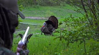 My MOST Incredible Turkey Hunt