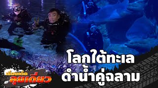 เรื่องเด็ดลุยเดี่ยว | โลกใต้ทะเล ดำน้ำคู่ฉลาม SEA LIFE BKK Ocean World | ข่าวเที่ยงอมรินทร์ |1ธ.ค.65