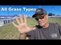 Straight Up Magical on Lawns (Before and After) VLOG - FREEDOM FACTORY Update Nutsedge/Kyllinga